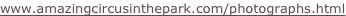 shapeimage_16_link_7